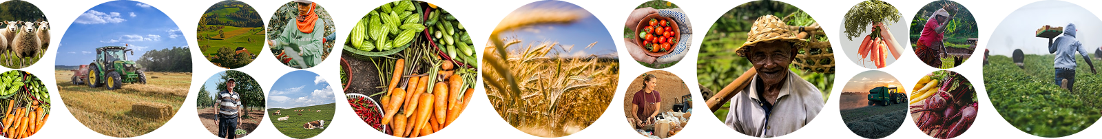Connecting Buyers & Farmers